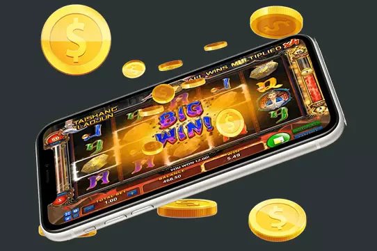 dmn7